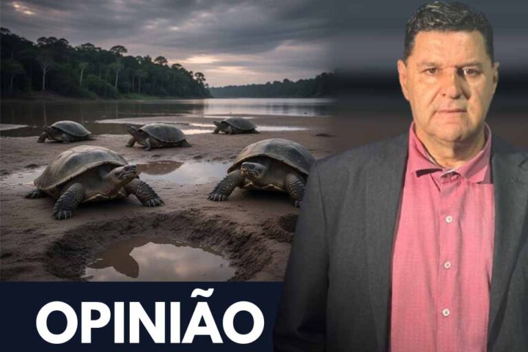 O Silêncio das Praias: Amazônia sem ninho, Amazônia sem futuro
