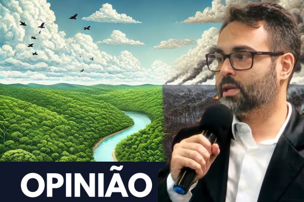 Desafios para os prefeitos eleitos na Amazônia Legal: a pauta ambiental e climática