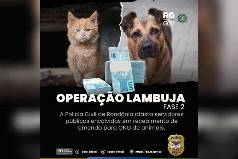 Polícia Civil realiza 2ª fase da Operação "Lambuja" em investigação sobre desvio de verbas públicas