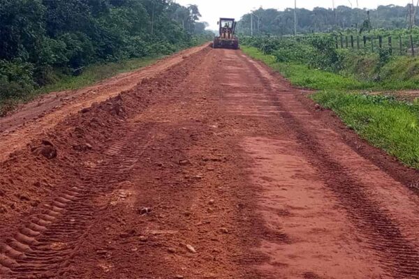 Manutenção e recuperação da RO-135 entre os distritos de Porto Rolim do Guaporé e Izidolândia são iniciadas