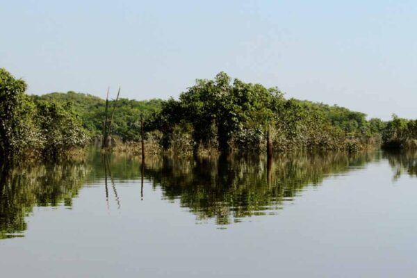 Rondônia se prepara para sediar a 5ª Conferência Nacional do Meio Ambiente em março