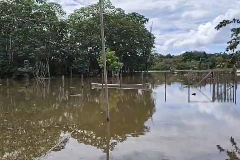 Defesa Civil de Porto Velho acompanha elevação do Rio Madeira e já identifica impactos em áreas ribeirinhas