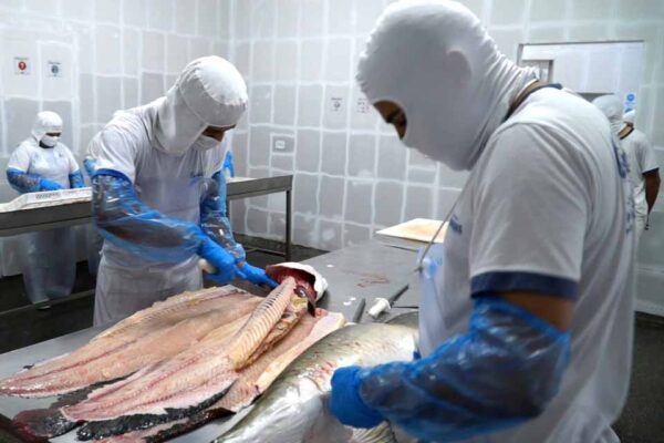 Avanços significativos nas garantias sanitárias do setor agropecuário de Rondônia impulsionam a economia local