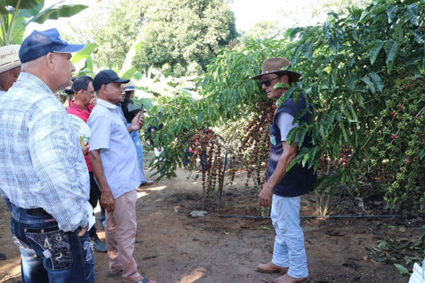 Tecnologias sustentáveis e inovação rural marcam presença da Emater-RO na Rondônia Rural Show