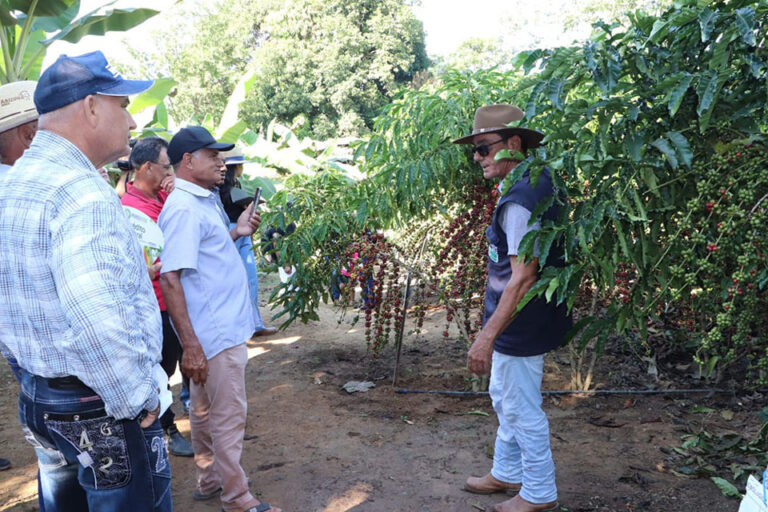 Tecnologias sustentáveis e inovação rural marcam presença da Emater-RO na Rondônia Rural Show