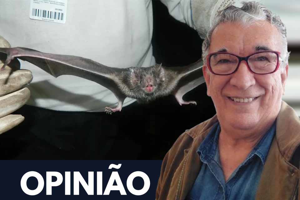 Tem morcego no curral? Chame o Governo
