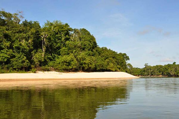 Governo de Rondônia promove audiências para atualizar plano estadual de desenvolvimento