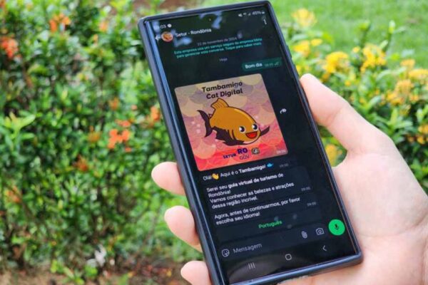 Rondônia amplia uso de tecnologia e reúne mais de 150 serviços em plataforma online