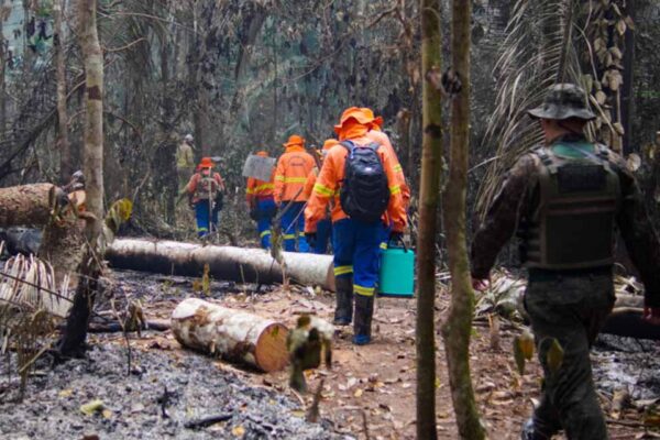 Governo de Rondônia amplia ações contra queimadas com reforço em fiscalização e educação ambiental