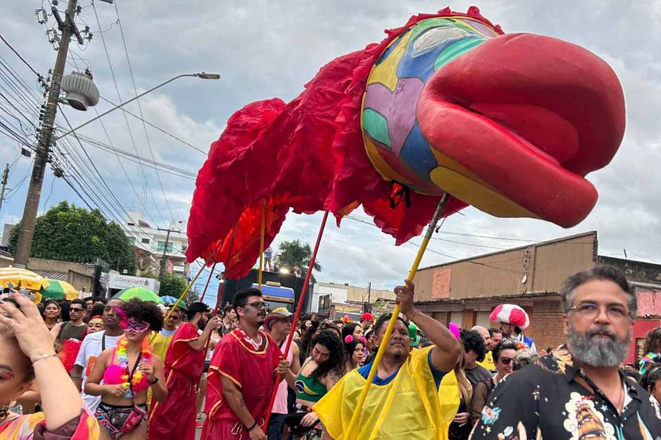 Deputada destina R$ 60 mil para desfile do bloco Pirarucu do Madeira em 2026