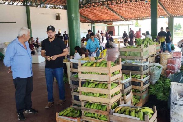 Produtores rurais de Porto Velho utilizam transporte gratuito da Semagric para entrega de alimentos