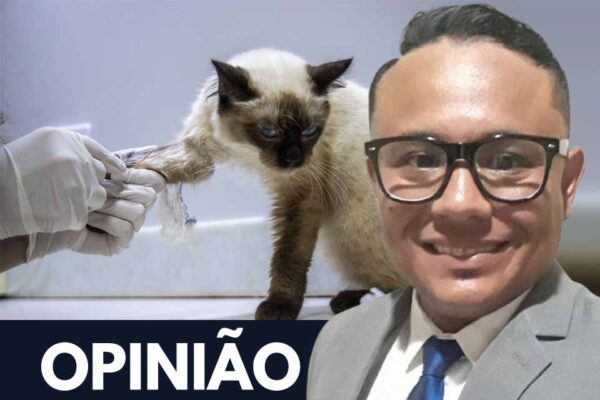 Causa animal e ambiental dão um salto em Porto Velho em 2025