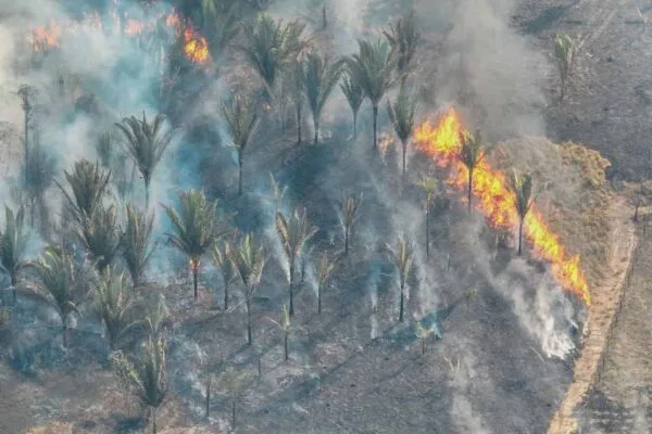 Prefeitura de Porto Velho registra queda de 84% nas queimadas em três meses