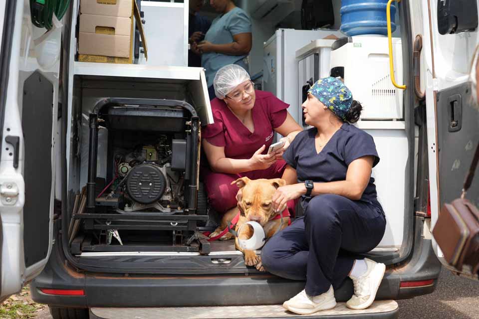 Porto Velho realiza exames pré-operatórios para castração de animais e anuncia clínica municipal