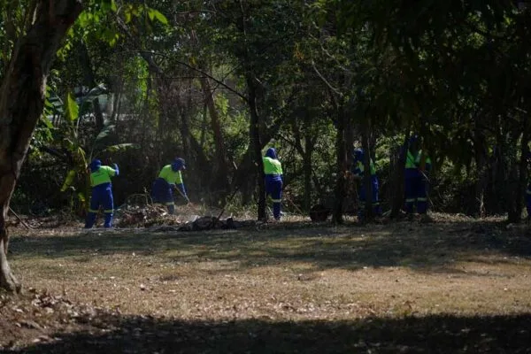 Limpeza é realizada em Área de Preservação Permanente no centro de Porto Velho