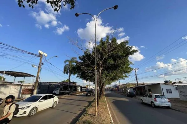 Prefeitura e Emdur intensificam ações contra furtos de cabos na Avenida Guaporé