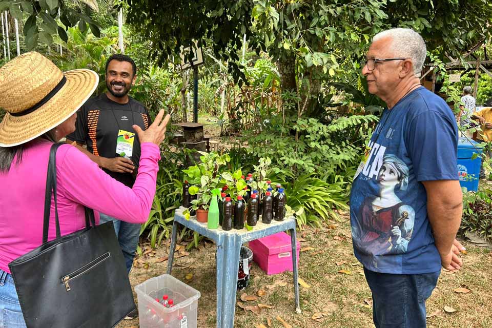Interesse por abelhas sem ferrão reúne produtores no 1º Workshop da Amazônia Ocidental