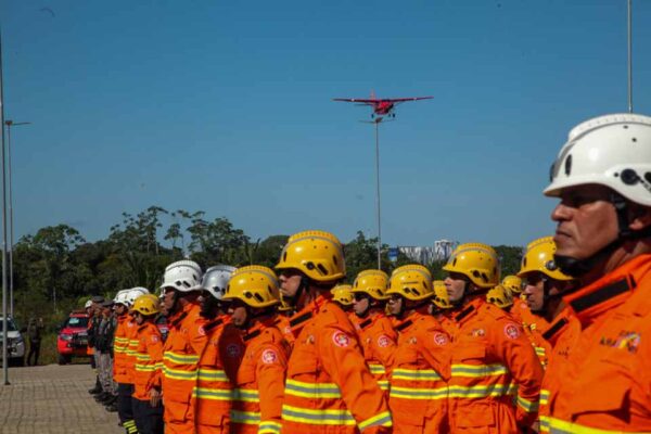 Rondônia lidera redução de queimadas no país em 2025