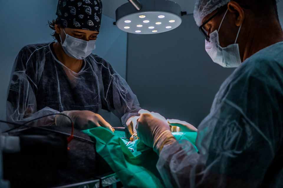 Programa de Aprimoramento em Medicina Veterinária abre inscrições em Porto Velho