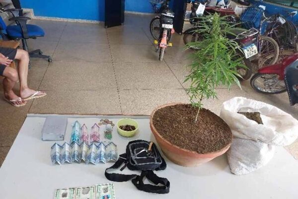 Polícia encontra droga e planta de maconha em residência de jovem monitorado por tornozeleira em Vilhena
