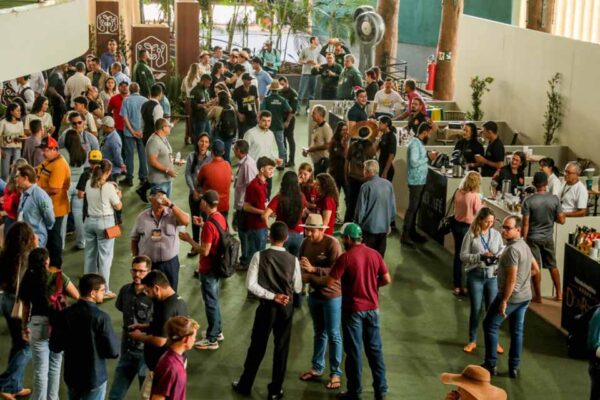 Concafé 2025 terá premiação de mais de R$ 400 mil para cafeicultores em Rondônia