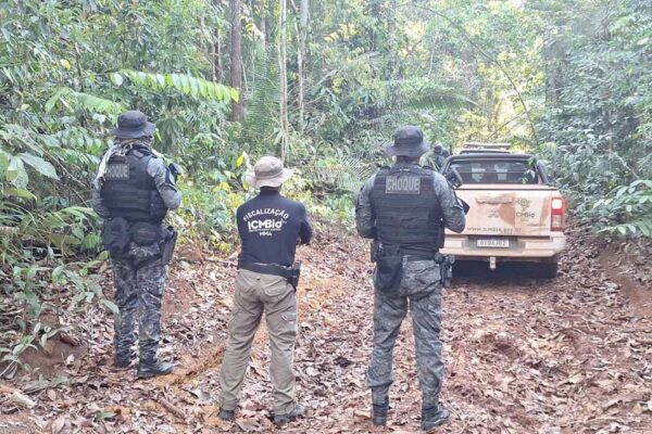 Operação apreende madeira e equipamentos em ação contra extração ilegal no Parque Nacional dos Campos Amazônicos