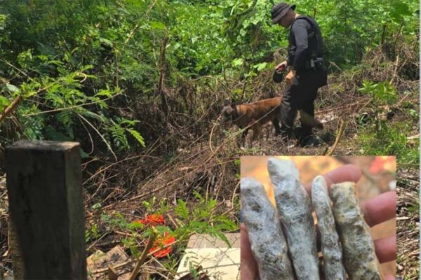 Polícia Militar localiza drogas em operação do 4º BPM em Cacoal