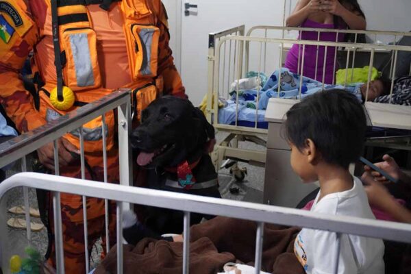 Visita de cão terapeuta leva descontração a pacientes do Hospital Infantil Cosme e Damião
