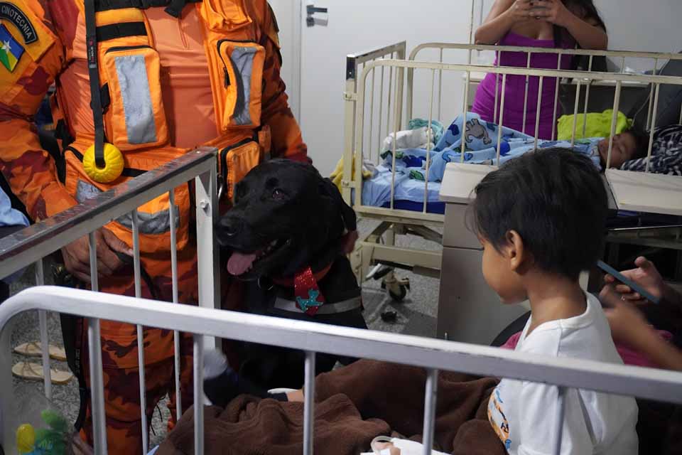 <div style="
                font-size: 18px;
                font-weight: bold;
                color: #0073aa;
                margin-bottom: 5px;
                text-transform: uppercase;
            ">ASSISTÊNCIA EM SAÚDE</div>Visita de cão terapeuta leva descontração a pacientes do Hospital Infantil Cosme e Damião