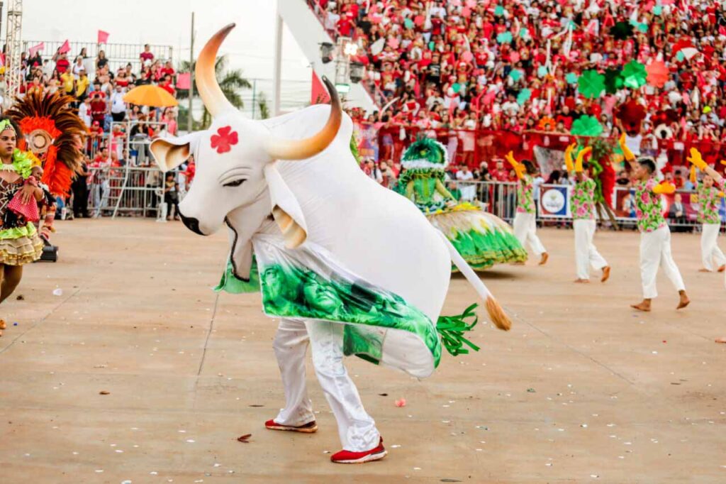 <div style="
                font-size: 18px;
                font-weight: bold;
                color: #0073aa;
                margin-bottom: 5px;
                text-transform: uppercase;
            ">CULTURA</div>Duelo na Fronteira 2025 movimentará turismo e economia em Guajará-Mirim