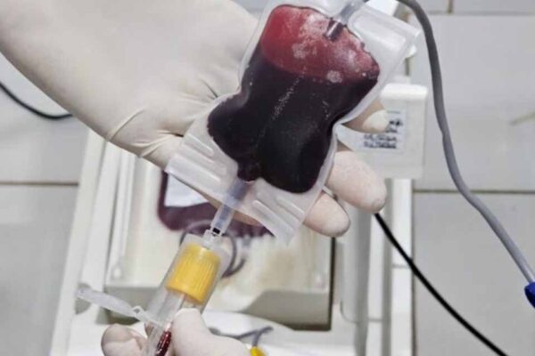 Fhemeron orienta sobre cadastro de doadores de medula óssea no Dia Mundial do Doador