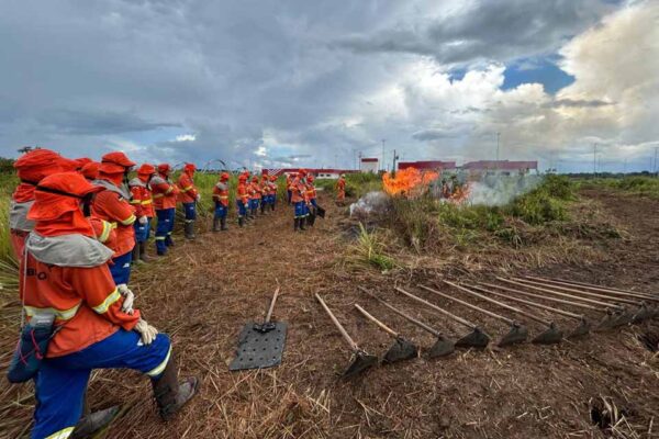 Governo de Rondônia contrata 183 agentes temporários para reforçar combate a incêndios em 2025