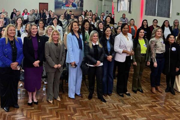Deputada Gislaine Lebrinha participa de encontro nacional sobre violência contra a mulher