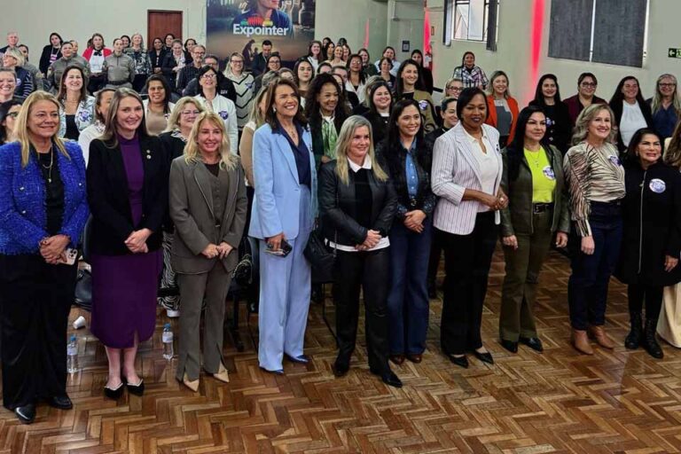 Deputada Gislaine Lebrinha participa de encontro nacional sobre violência contra a mulher