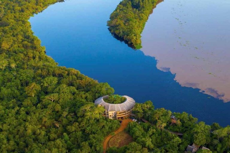 Alero destaca ações legislativas no Dia da Amazônia