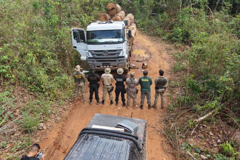 PF realiza Operação Lignum II contra exploração ilegal de madeira em terra indígena de Rondônia