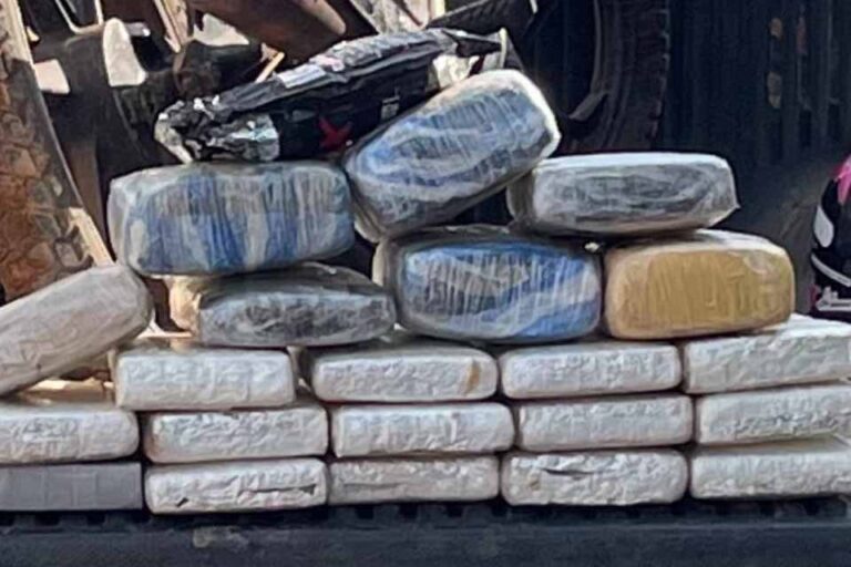 Polícia Militar apreende 24 quilos de maconha e prende suspeito em Nova Mamoré