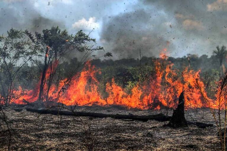 Prefeitura de Porto Velho mantém equipes em plantão contínuo contra queimadas urbanas