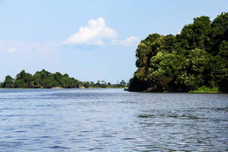 Governo de Rondônia destaca turismo e potencial produtivo no Dia Mundial do Turismo