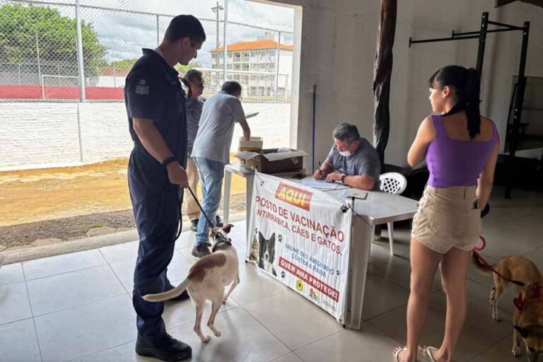Sistema on-line facilita agendamento de vacinação de cães e gatos em Porto Velho