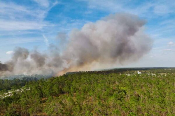 Atuação do TCE resulta em queda de queimadas e melhora da qualidade do ar em Rondônia
