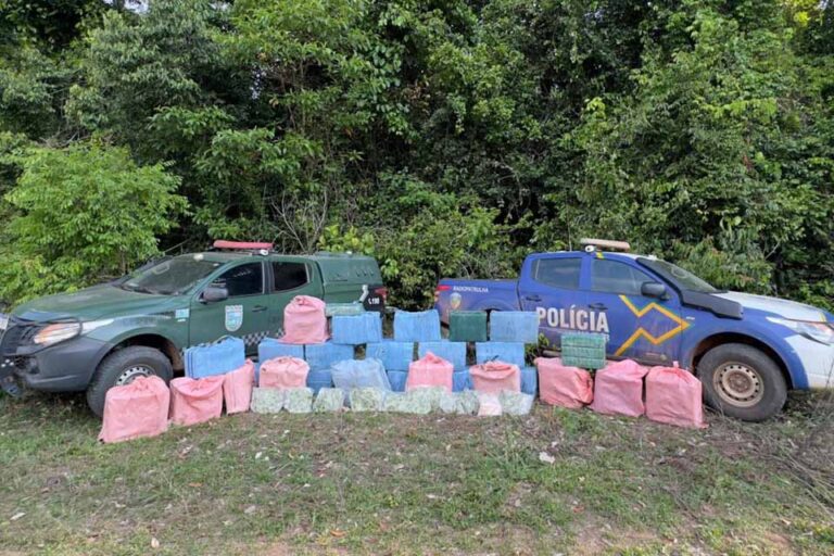 Polícia Militar apreende cerca de 900 kg de drogas na Zona da Mata durante ação conjunta