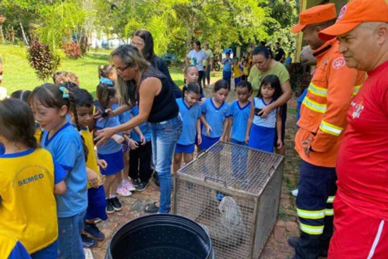 Bombeiros devolvem preguiça e jiboia à natureza em parque de Porto Velho