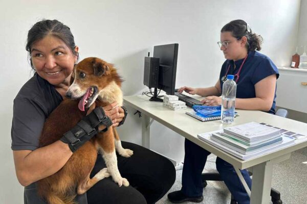 Clínica de Bem-Estar Animal inicia atendimentos em Porto Velho com estrutura moderna