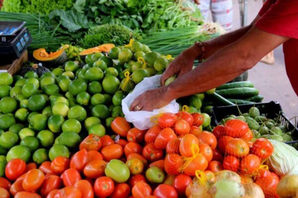 Cláudia de Jesus solicita prorrogação do prazo de entrega do Programa de Aquisição de Alimentos