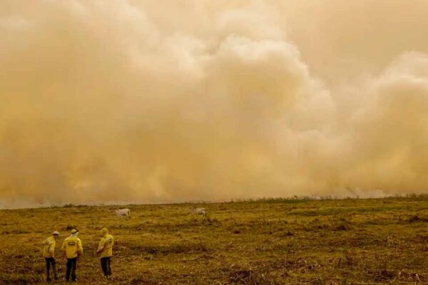 Mudanças climáticas provocam mais de meio milhão de mortes por calor a cada ano, revela relatório