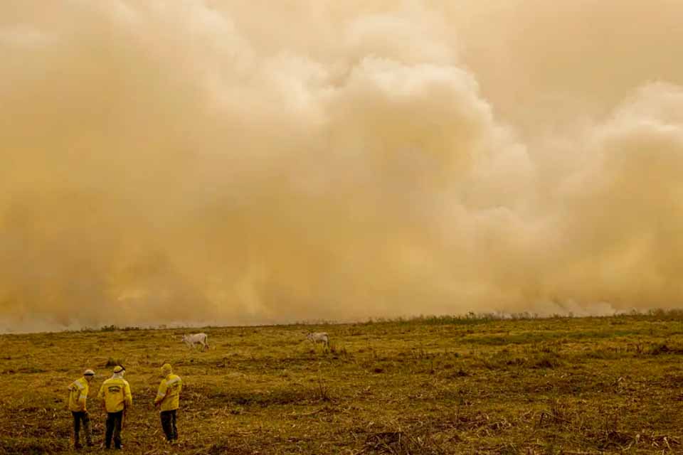 <div style="
                font-size: 18px;
                font-weight: bold;
                color: #0073aa;
                margin-bottom: 5px;
                text-transform: uppercase;
            ">CRISE CLIMÁTICA</div>Mudanças climáticas provocam mais de meio milhão de mortes por calor a cada ano, revela relatório