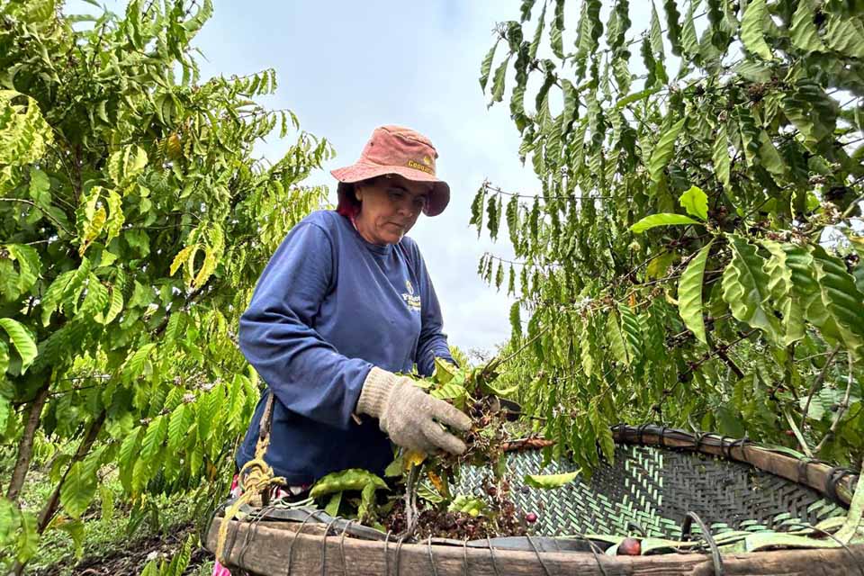 <div style="
                font-size: 18px;
                font-weight: bold;
                color: #0073aa;
                margin-bottom: 5px;
                text-transform: uppercase;
            ">AGRICULTURA FAMILIAR</div>Agricultoras de Porto Velho reforçam protagonismo no campo e celebram conquistas