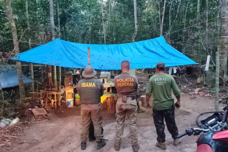PF realiza operação contra invasões e crimes ambientais na Terra Indígena Latundê