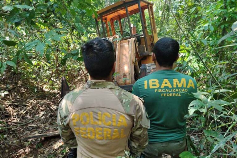 Operação da PF combate extração de madeira em terra indígena de Rondônia